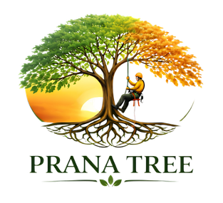 Prana Tree